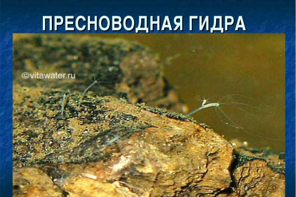 Сайт kraken в tor