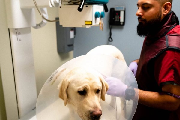 Как зайти на кракен с телефона андроид