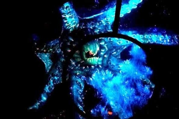 Kraken20 at